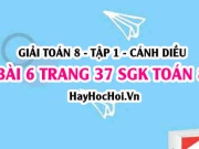 Giải bài 6 trang 37 Toán 8 Tập 1 SGK Cánh Diều